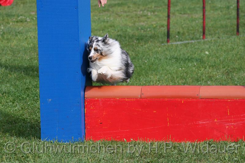 gluehwuermchen08 094 (40).jpg